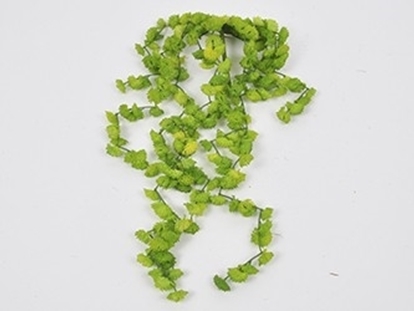 Immagine di SUCCULENT 50 CM