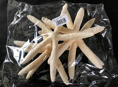 Immagine di STELLE MARINE PIATTE 6/8 X5 PZ.
