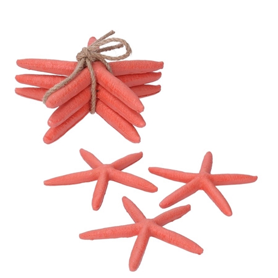 Immagine di STELLA MARINA RESINA MARE 3 PEZZI ROSSOC MØ12,5H6