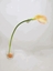 Picture of CALLA LILY SPRAY CM 73