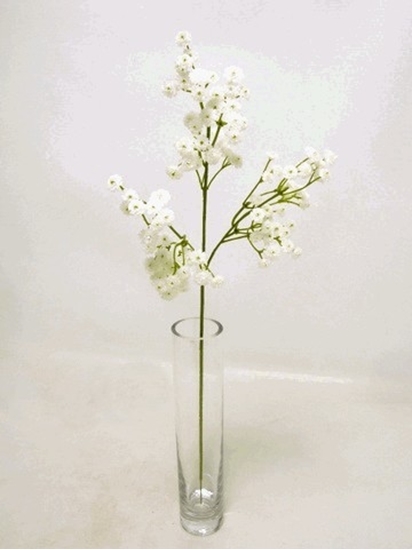 Picture of PLASTIC GYPSO SPRAY x108 FLRS 52cm