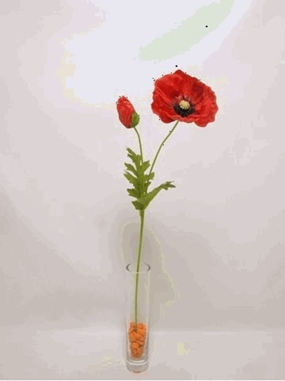 Picture of POPPY SPRAY w/1 FLR, 1 BUD, 3 LVS 61cm