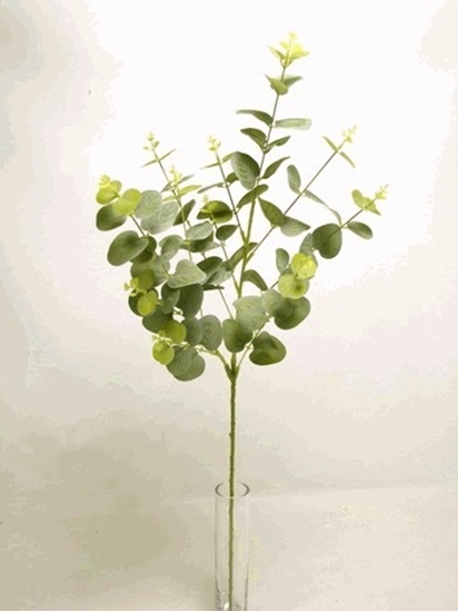 Immagine di EUCALYPTUS SPRAY 94cm