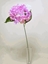 Immagine di SINGLE HYDRANGEA SPRAY 70cm