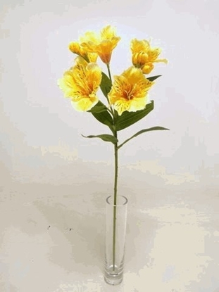 Immagine di ALSTROEMERIA SPRAY 62cm