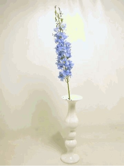 Immagine di DELPHINIUM SPRAY