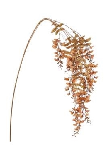 Immagine di TRALCIO GLICINE