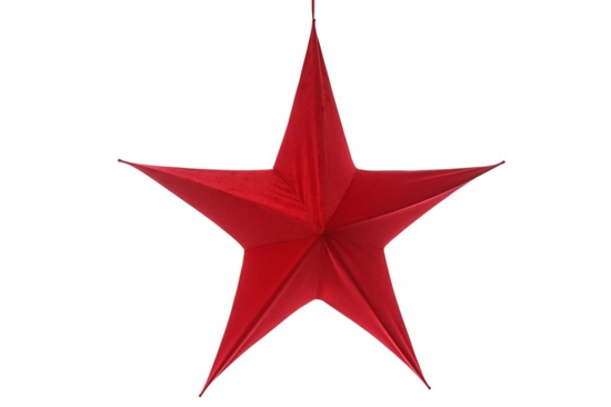 Immagine di STELLA VELLUTO CM.110