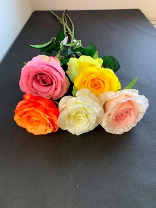 Immagine di ROSA LAURA