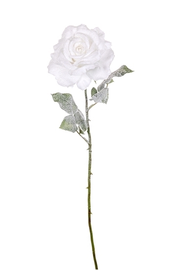 Immagine di ROSA GEORGIA INNEVATA WHITE