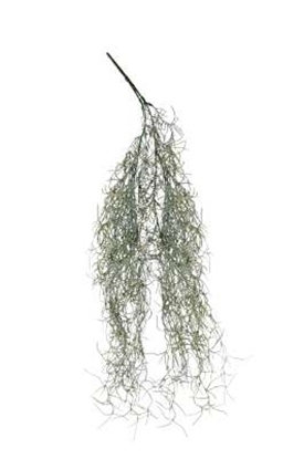 Immagine di CASCANTE TILLANDSIA CM.60