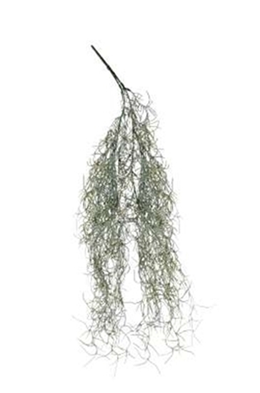 Immagine di CASCANTE TILLANDSIA CM.60