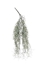 Immagine di CASCANTE TILLANDSIA CM.60