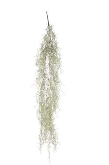Immagine di CASCANTE TILLANDSIA CM.110