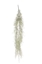 Picture of CASCANTE TILLANDSIA CM.110