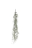 Immagine di CASCANTE TILLANDSIA CM.110