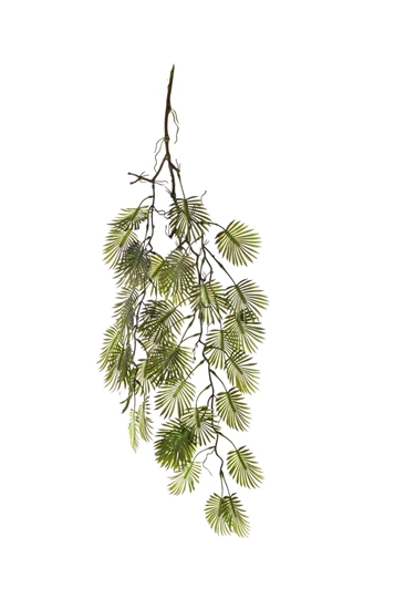 Immagine di CASCANTE CAMAROX