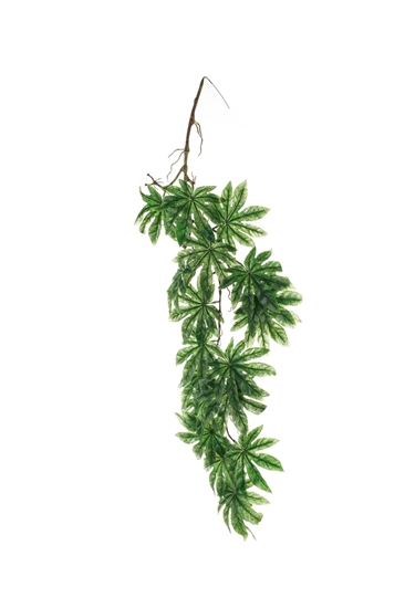 Immagine di CASCANTE ARALIA CM.100