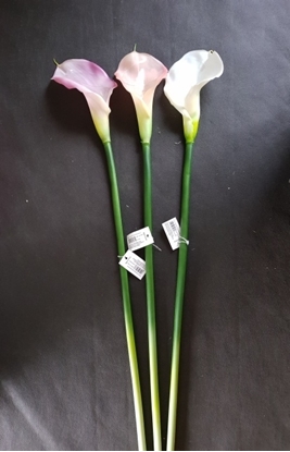 Immagine di CALLA SINGOLA NATURAL TOUCHCCM.78