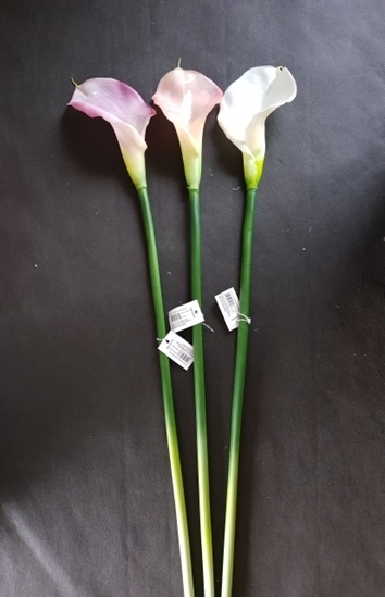 Immagine di CALLA SINGOLA NATURAL TOUCHCCM.78