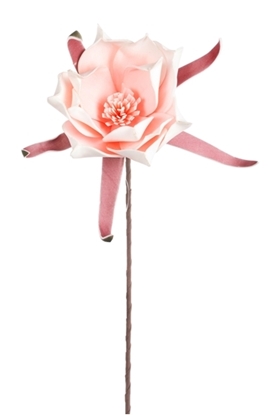 Immagine di MAGNOLIA POLY CM.75