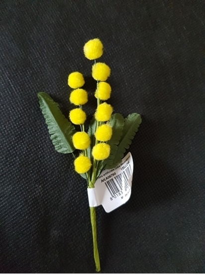 Immagine di MIMOSA INCARTATA CM.15