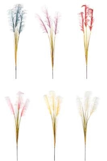 Immagine di PAMPAS x 3