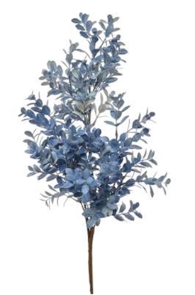 Immagine di RAMO BOXWOOD CM.70