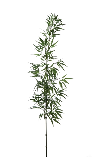 Immagine di RAMO BAMBOO CM.180