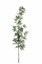 Immagine di RAMO BAMBOO CM.180