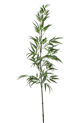 Immagine di RAMO BAMBOO CM.140