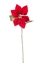 Picture of POINSETTIA SINGOLA VELLUTO CM.63