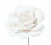 Immagine di PICK ROSA DELUXE VELVET IN PVC BOX