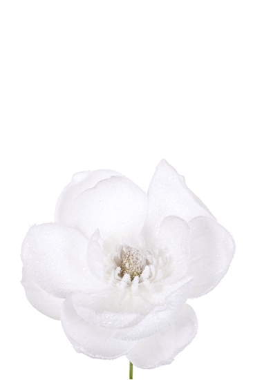 Immagine di PICK MAGNOLIA INNEVATA WHITE