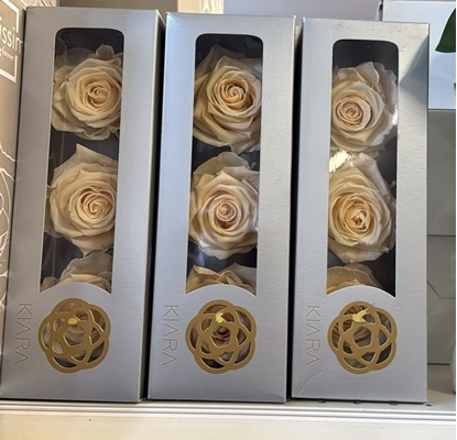 Immagine di ROSA PRESERVATA PREMIUM Ø CM.9  CF. 3 PZ
