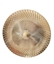 Immagine di PIATTO PLASTICA GOLD ø CM.32