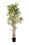 Immagine di PIANTA BAMBOO 3373 FOGLIE CM.240
