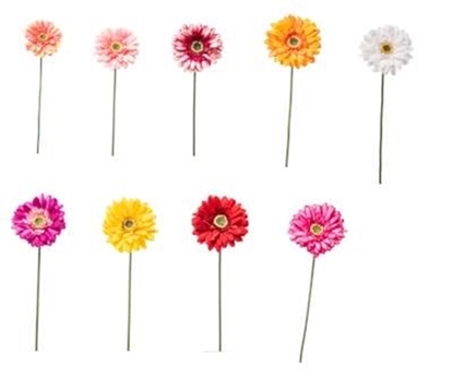 Immagine di GERBERA SINGOLA CM.49