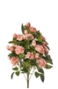 Picture of FRONTALE ROSINI X 11