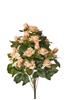 Picture of FRONTALE ROSINI X 11