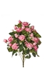 Picture of FRONTALE ROSINI X 11