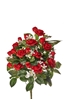 Picture of FRONTALE ROSINI X 11