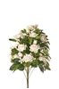 Picture of FRONTALE ROSINI X 11