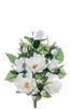 Immagine di FRONTALE MAGNOLIE/BOCCIOLI