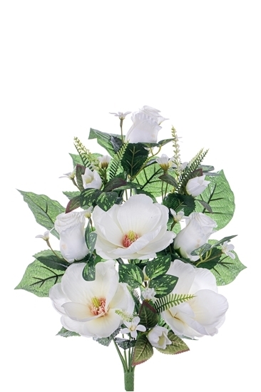 Immagine di FRONTALE MAGNOLIE/BOCCIOLI