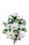 Picture of FRONTALE MAGNOLIE/BOCCIOLI