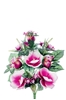 Immagine di FRONTALE MAGNOLIE/BOCCIOLI