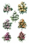 Immagine di FRONTALE BOCCIOLI x 9