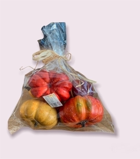 Immagine di BUSTA ZUCCHE ASSORTITE