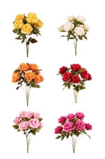 Immagine di BUSH ROSE x 9